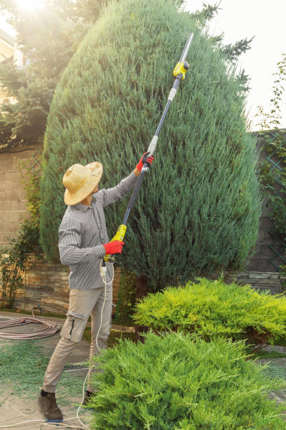 Best Tree Preservation Services  in Ravenna, MI